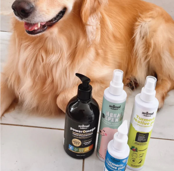 Como escolher um suplemento para o meu pet? 5 aspectos que você precisa avaliar antes de comprar